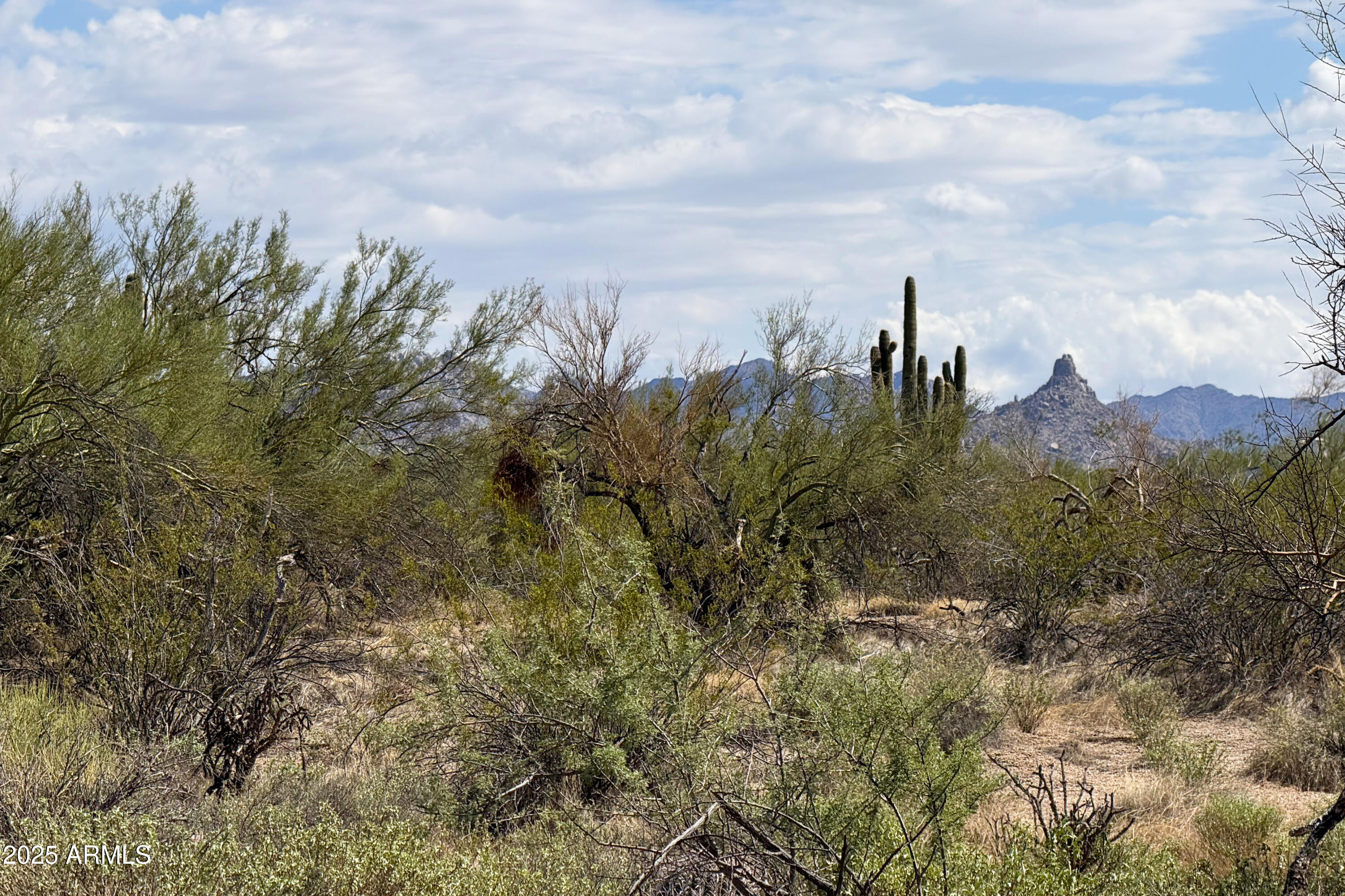 31815 N BLACK CROSS Road, 28