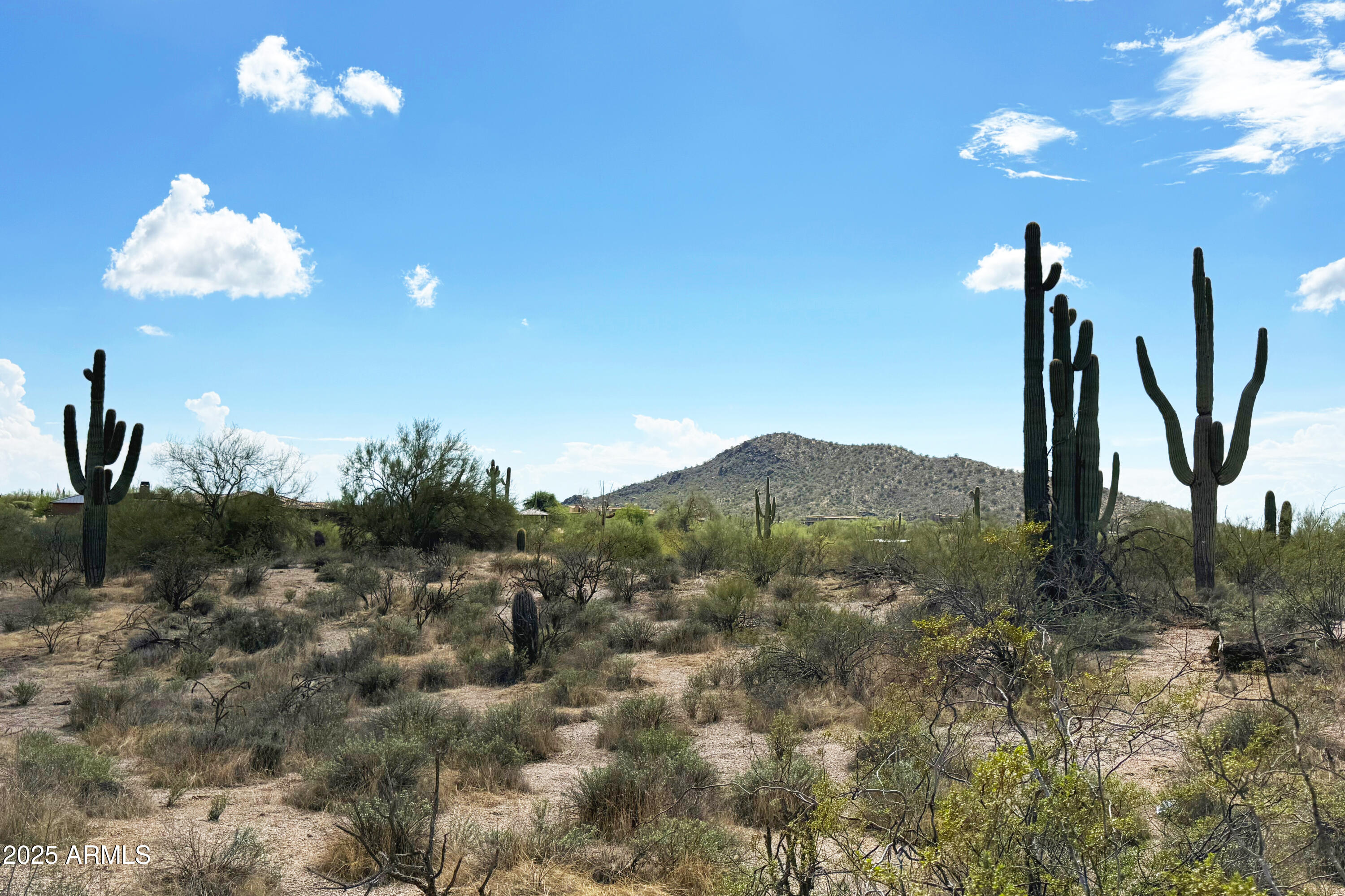 31815 N BLACK CROSS Road, 28