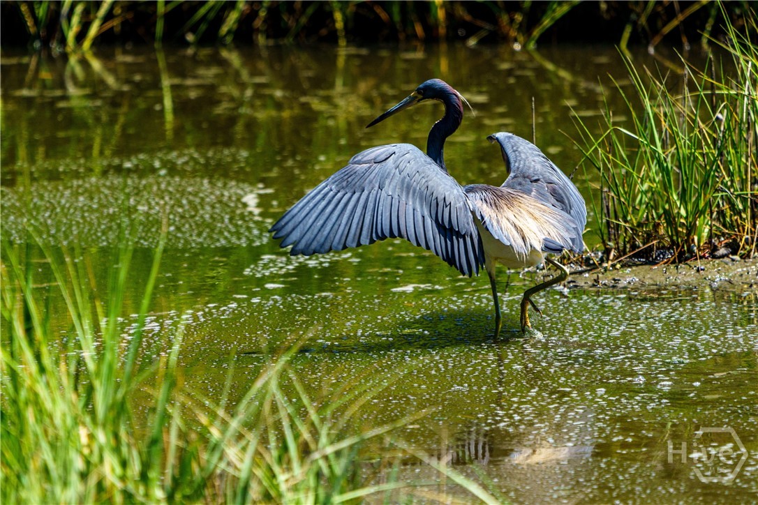 12 Jack Rowe Island Drive