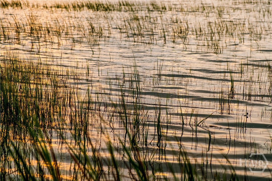 12 Jack Rowe Island Drive