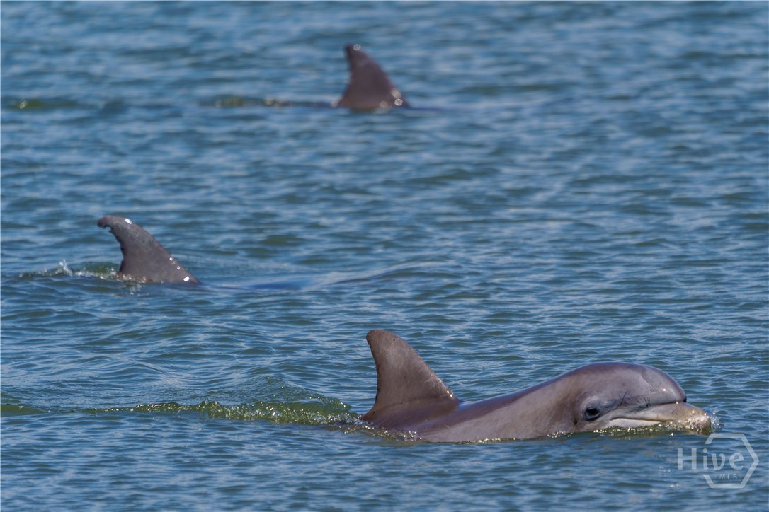 12 Jack Rowe Island Drive