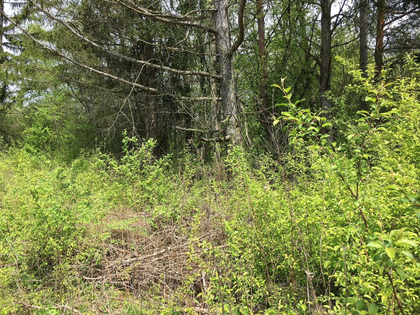 Lot 4 E Mundhank Road