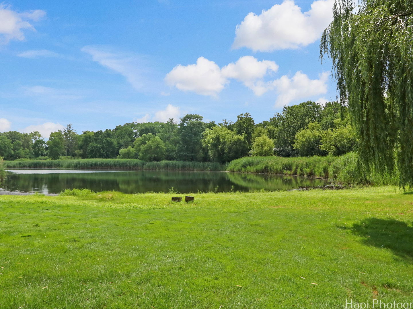 25696 W Chatham Road