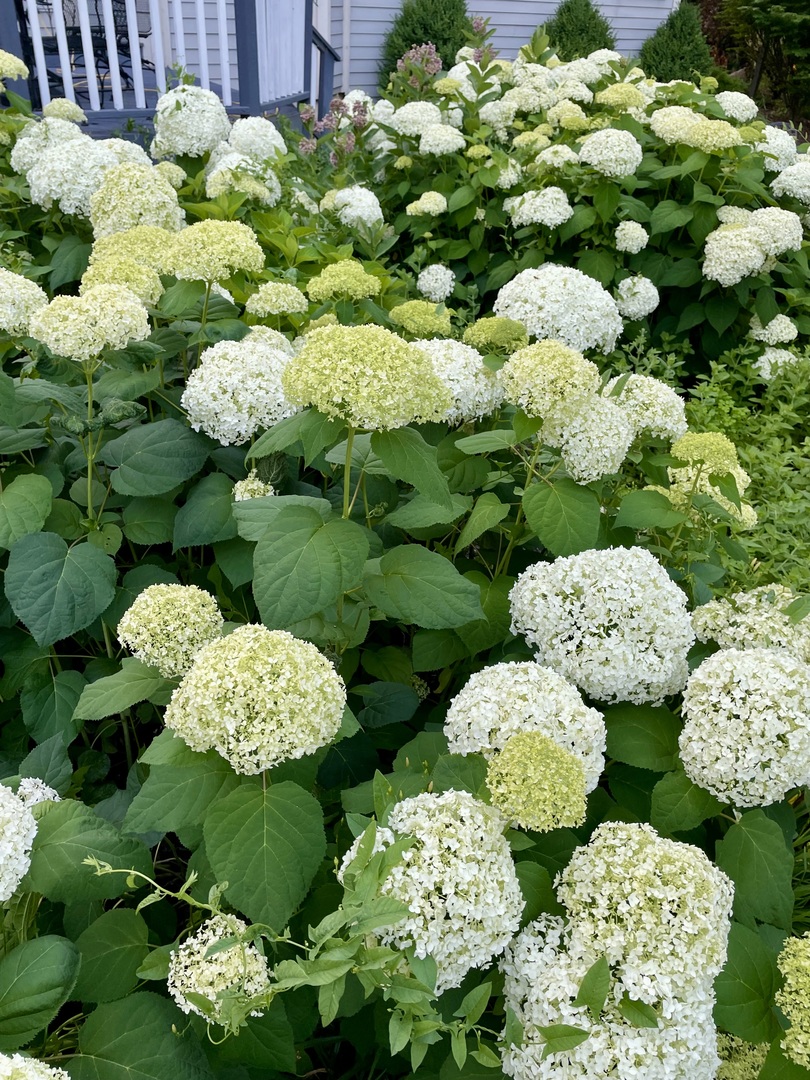 28629 N Sky Crest Drive