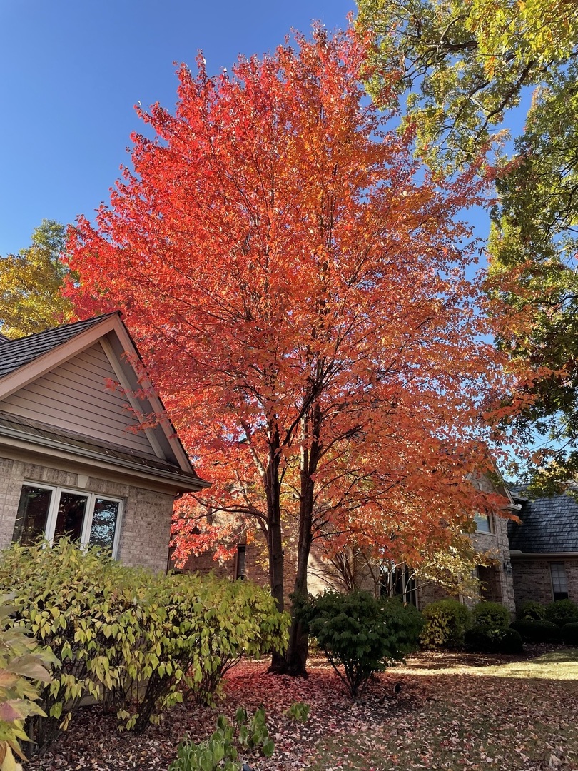 28629 N Sky Crest Drive