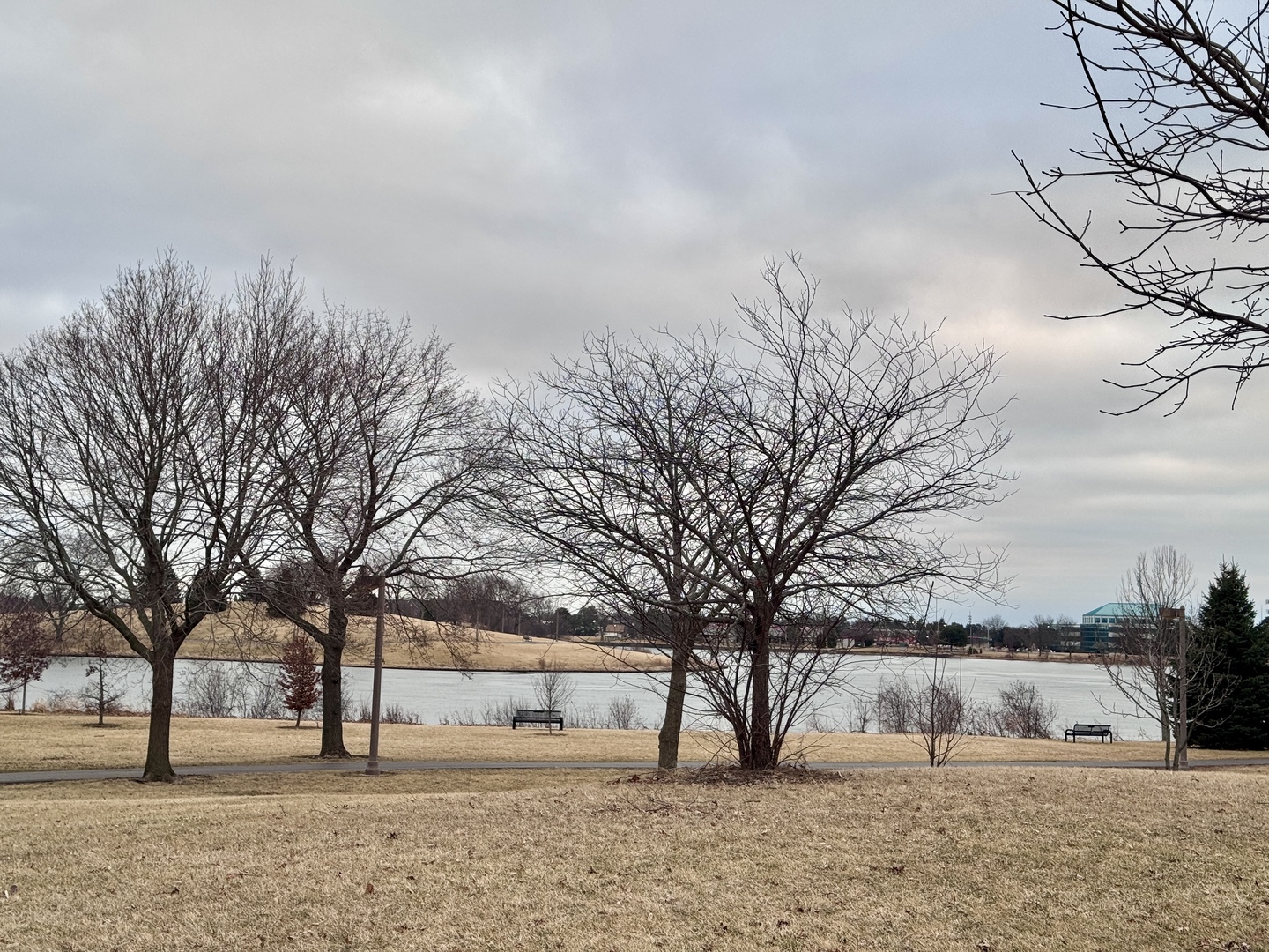 2 Timber Lane Unit: 17