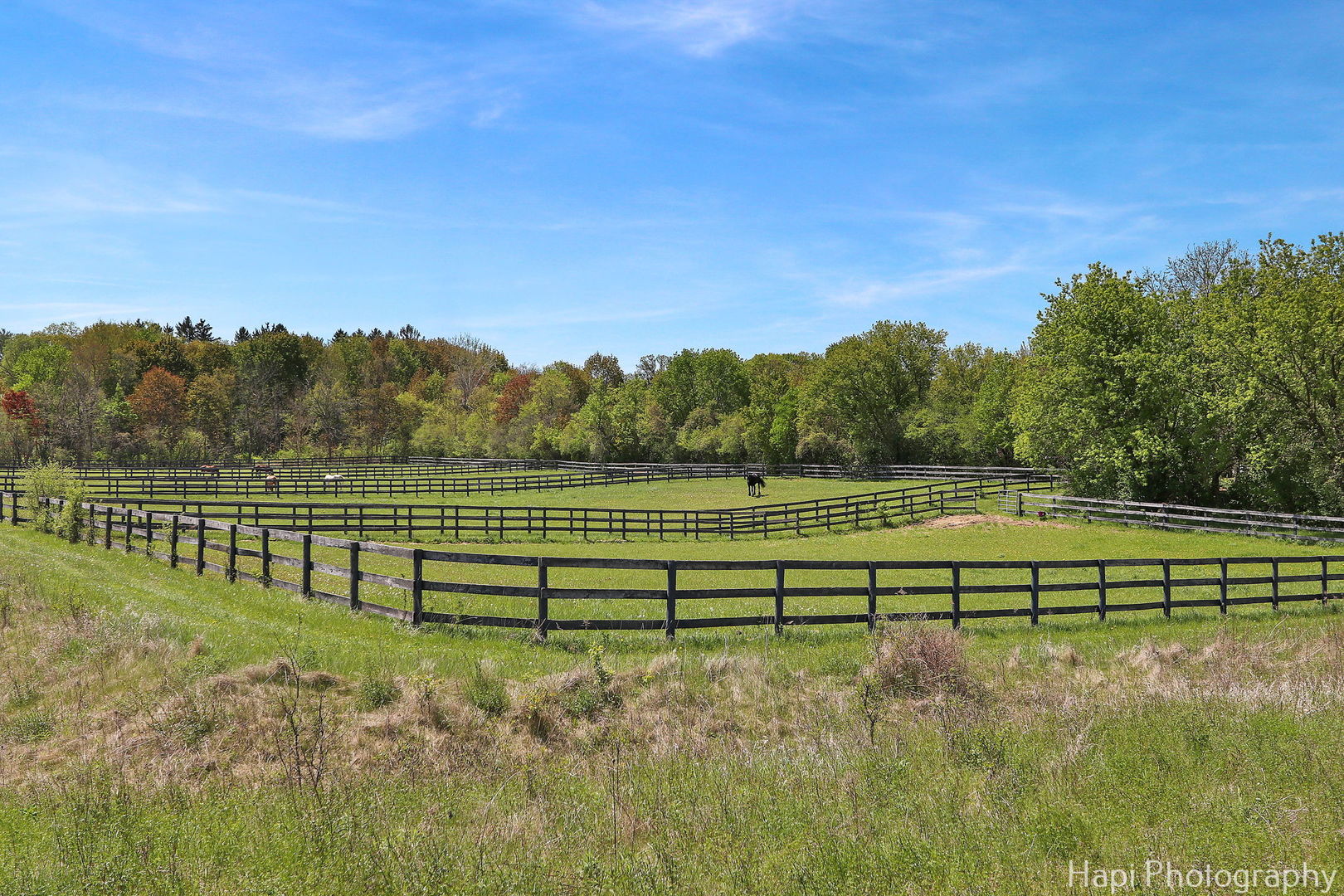 23 W County Line Road