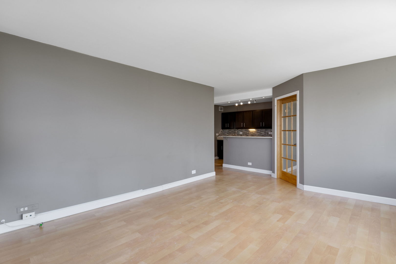 1355 N Sandburg Terrace Unit: 1601D