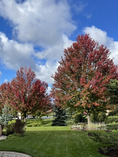 29 Glacier Circle