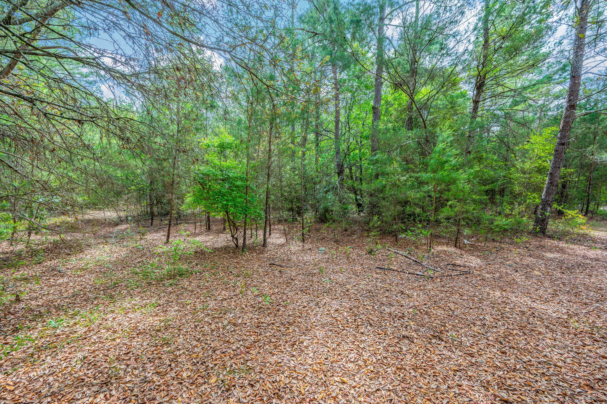 7765 S US Highway 331, DeFuniak Springs