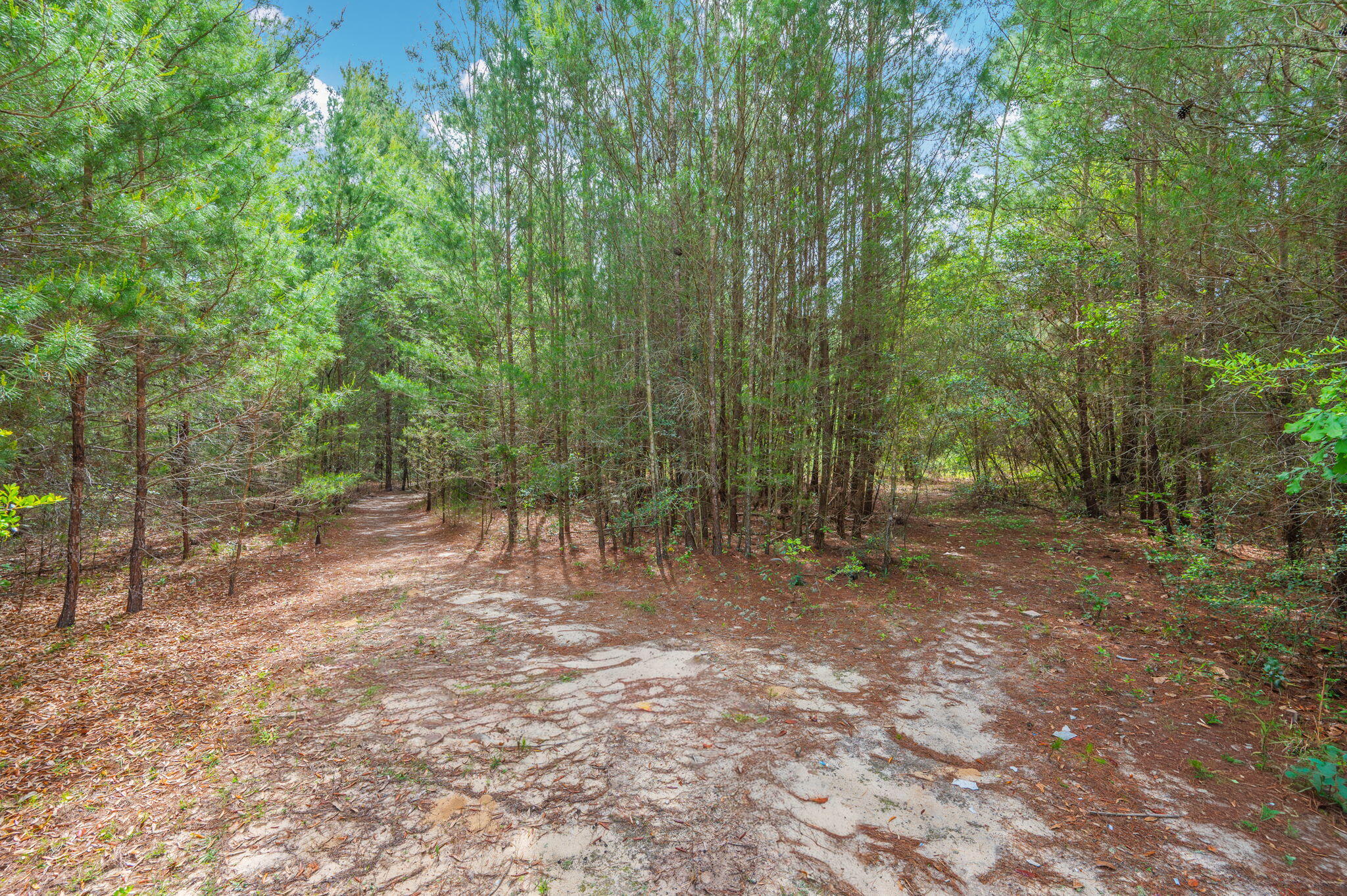 7765 S US Highway 331, DeFuniak Springs