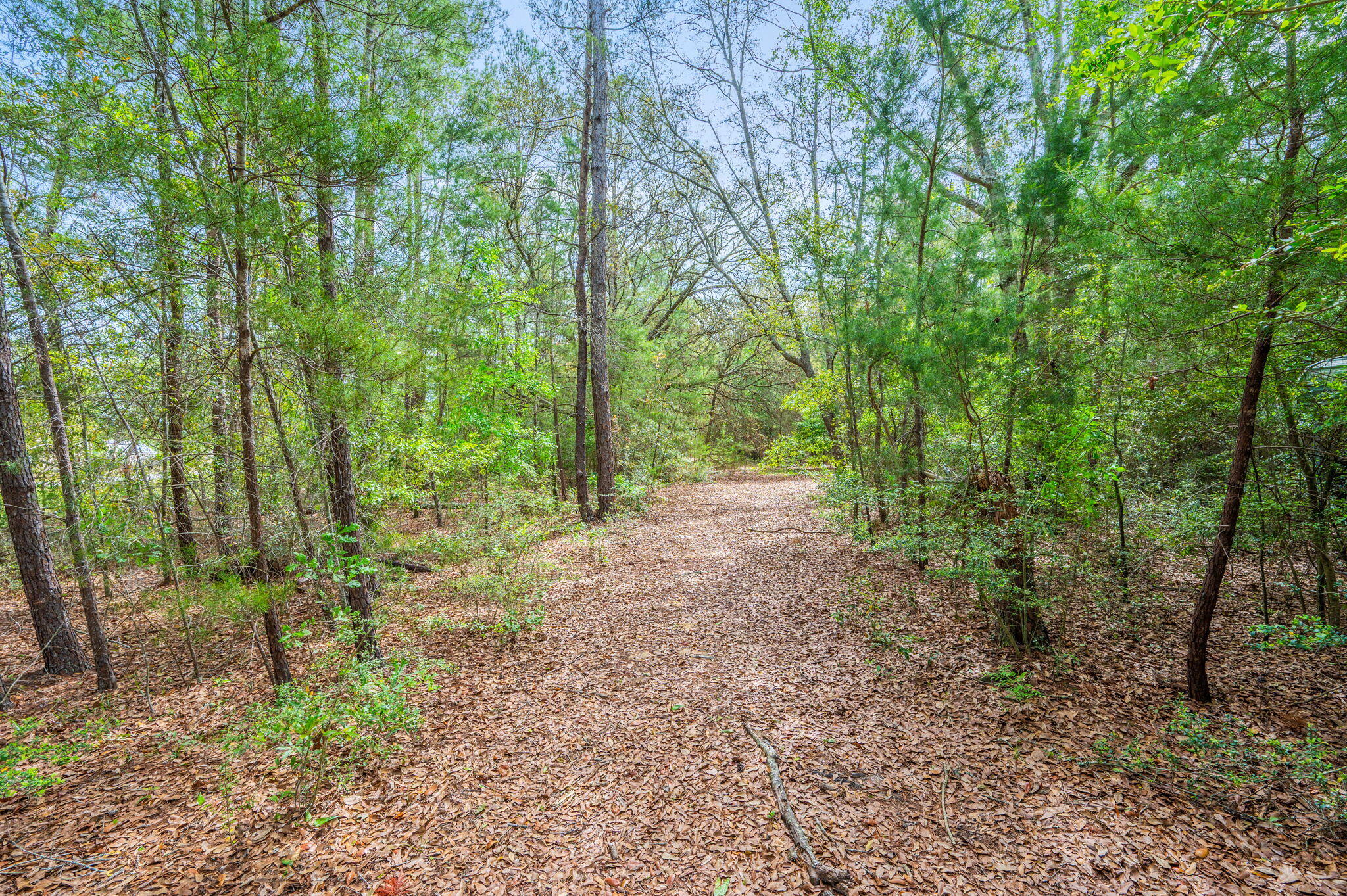 7765 S US Highway 331, DeFuniak Springs