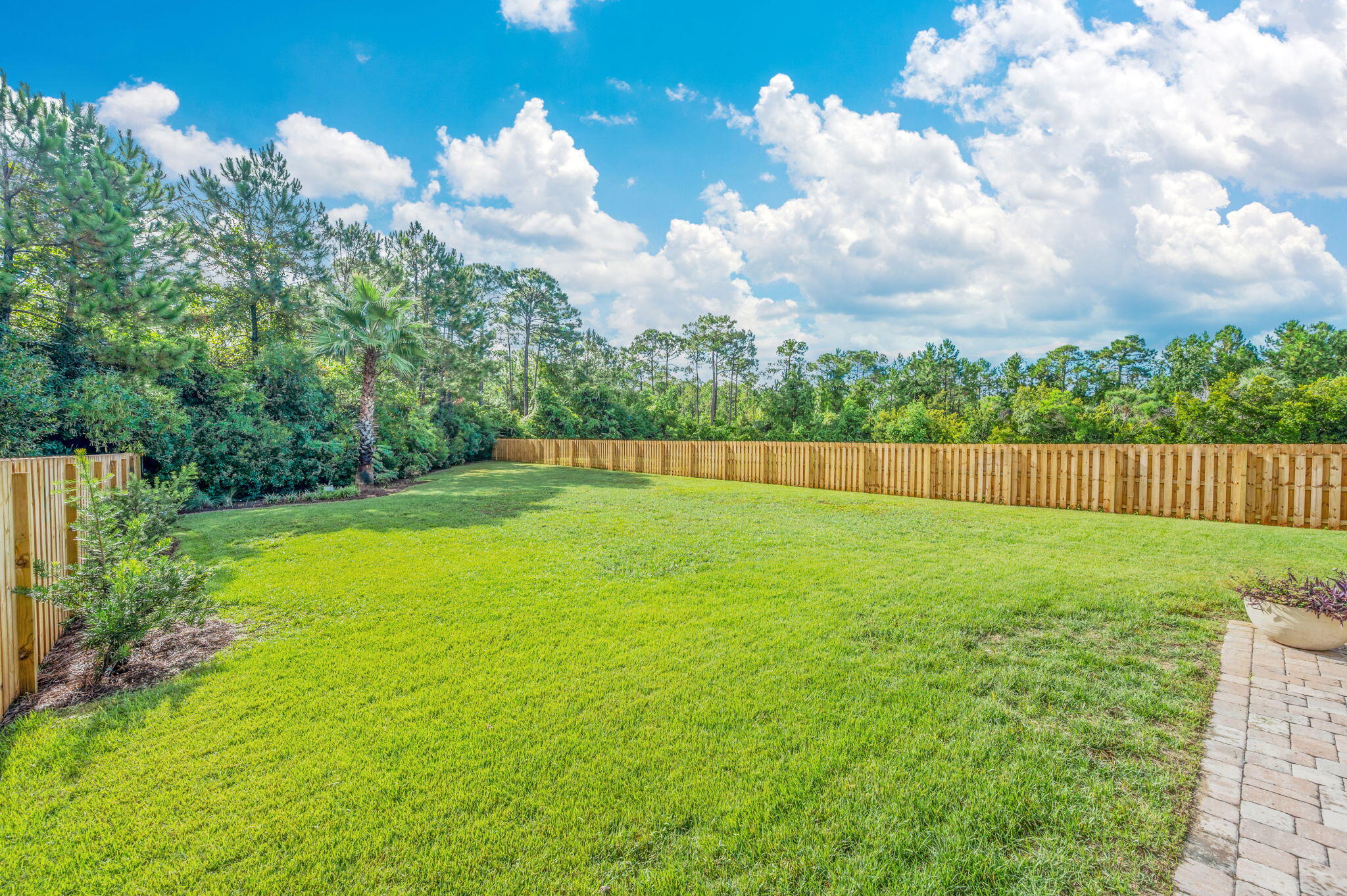 204 Cocobolo Drive
