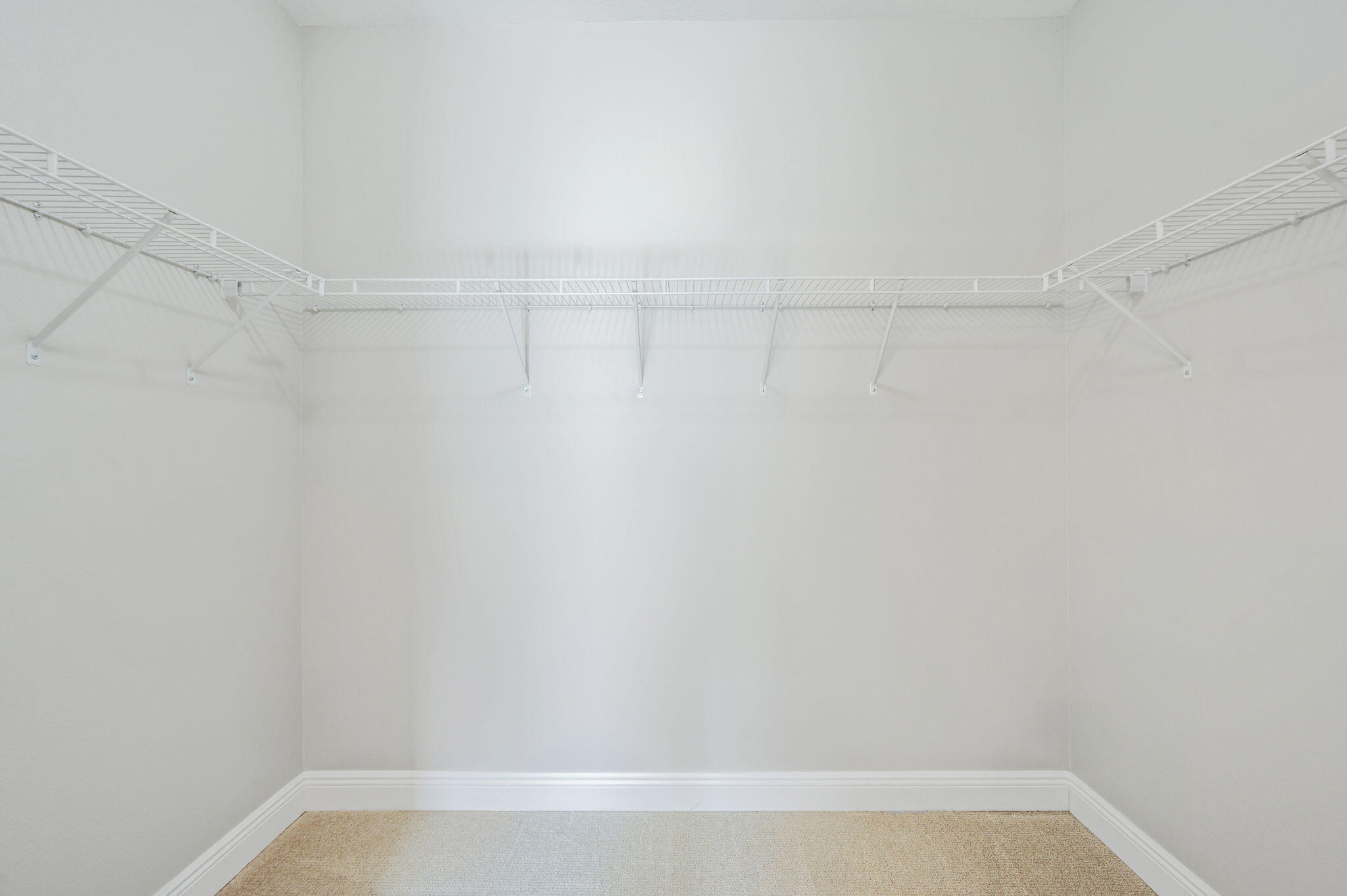204 Cocobolo Drive