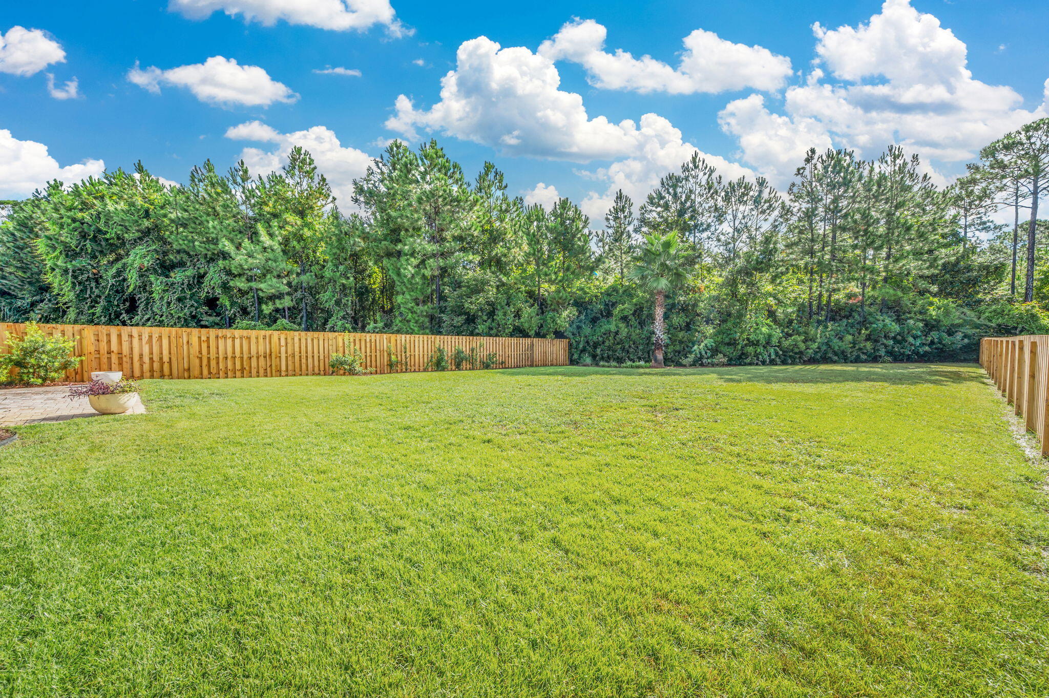 204 Cocobolo Drive