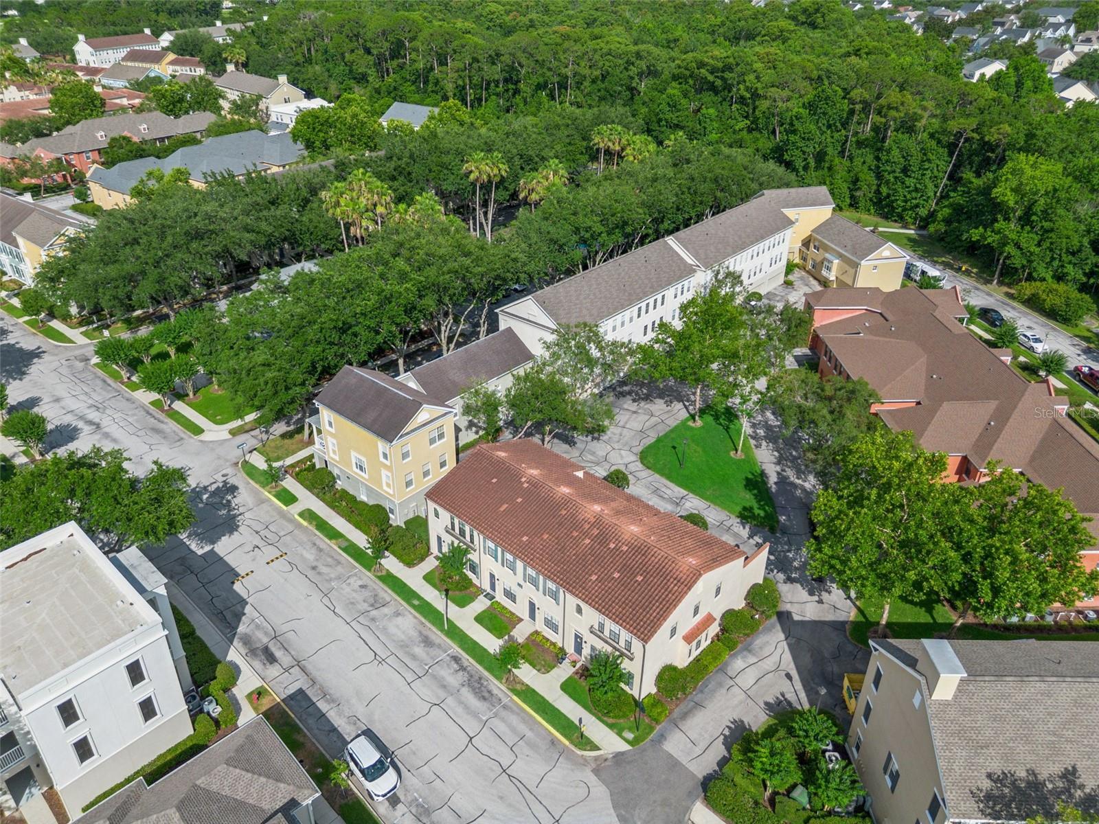 753 SIENA PALM DR
