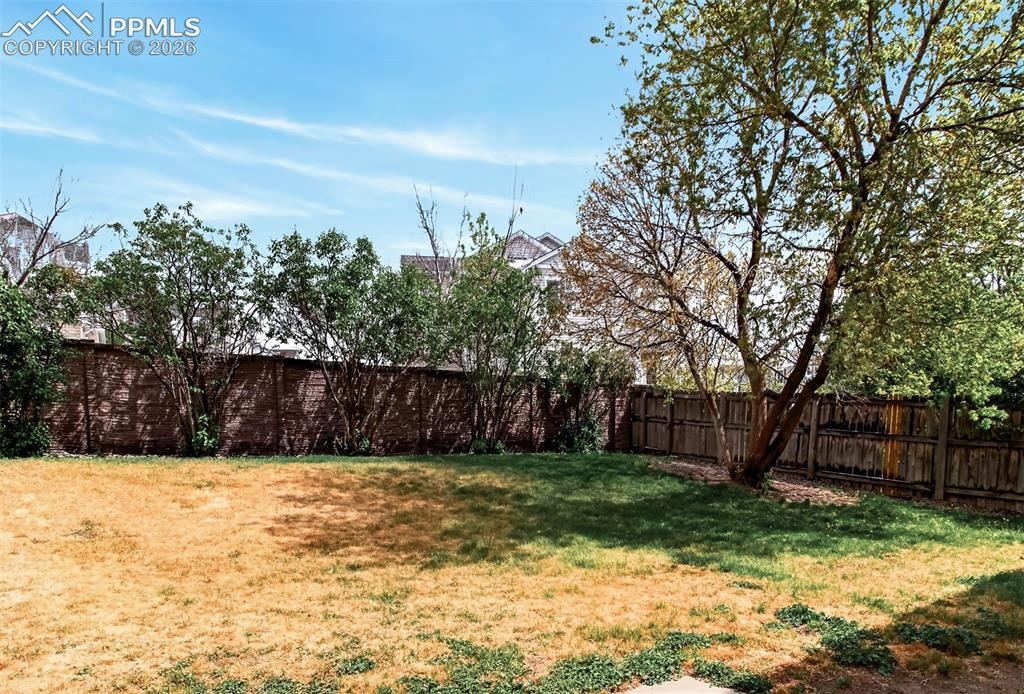 2392 Pinyon Jay Drive