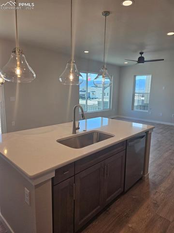 17627 Lemon Rye Loop