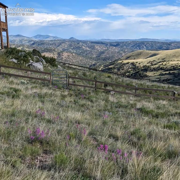 1160 Diamond Back Trail