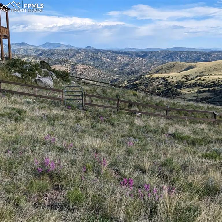 1160 Diamond Back Trail