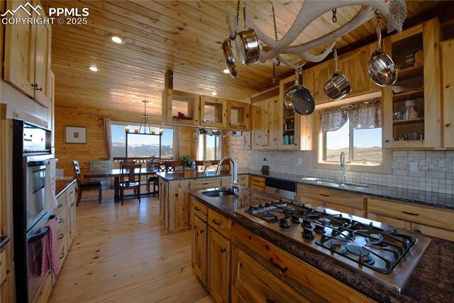 1160 Diamond Back Trail