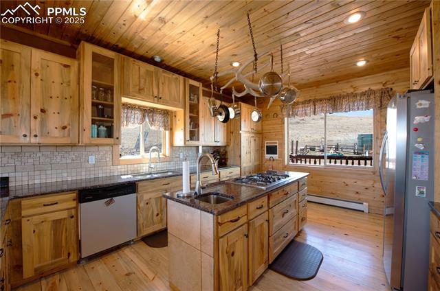 1160 Diamond Back Trail