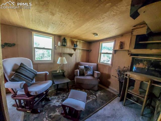 1160 Diamond Back Trail