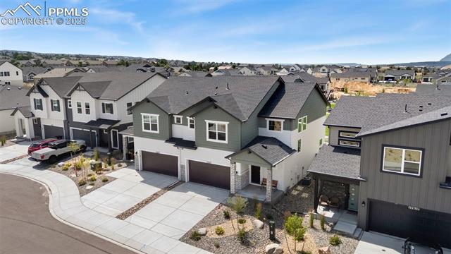 17627 Lemon Rye Loop