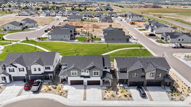 17627 Lemon Rye Loop