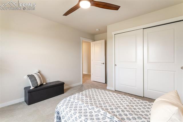 17627 Lemon Rye Loop