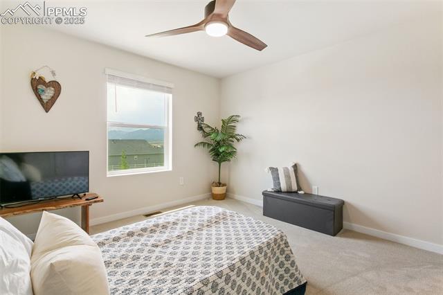 17627 Lemon Rye Loop