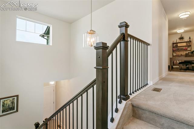 17627 Lemon Rye Loop