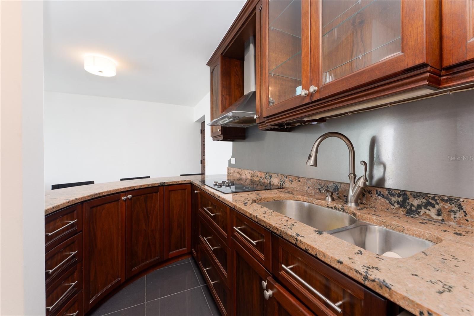 954 AVE DE LA CONSTITUCION #17F