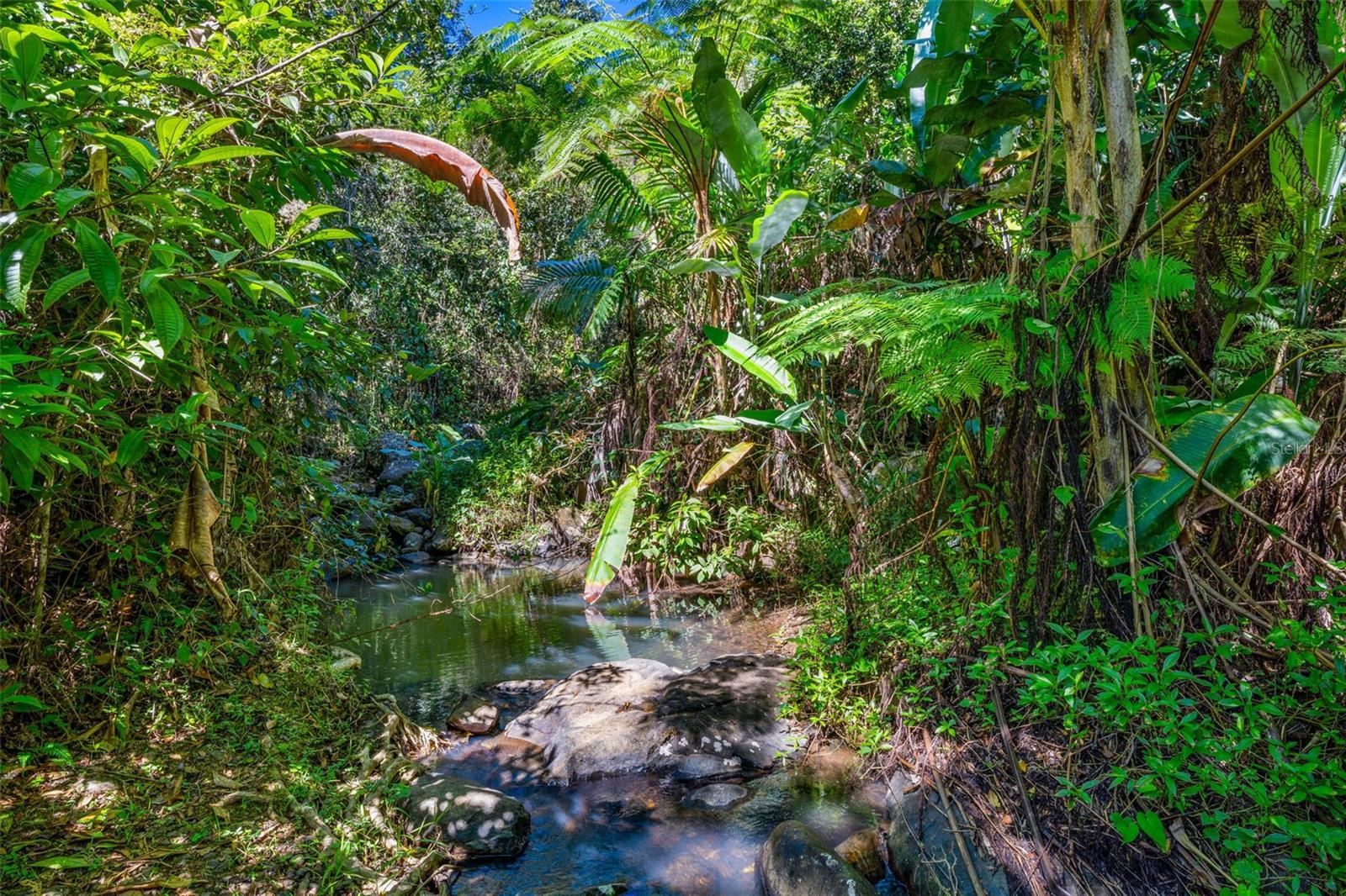 186 9.2 INT. AÑORANZAS DE CUBUY