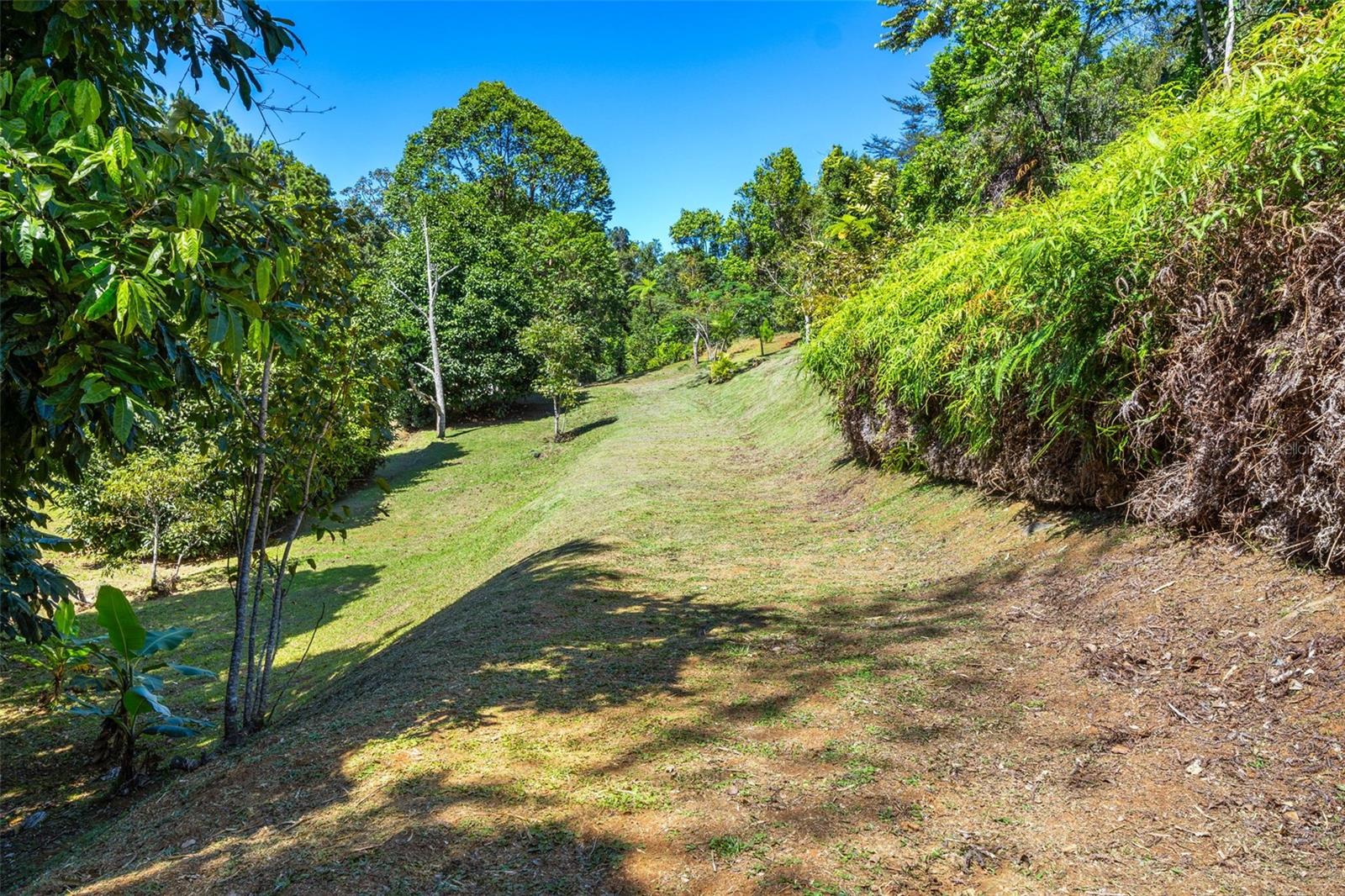 186 9.2 INT. AÑORANZAS DE CUBUY