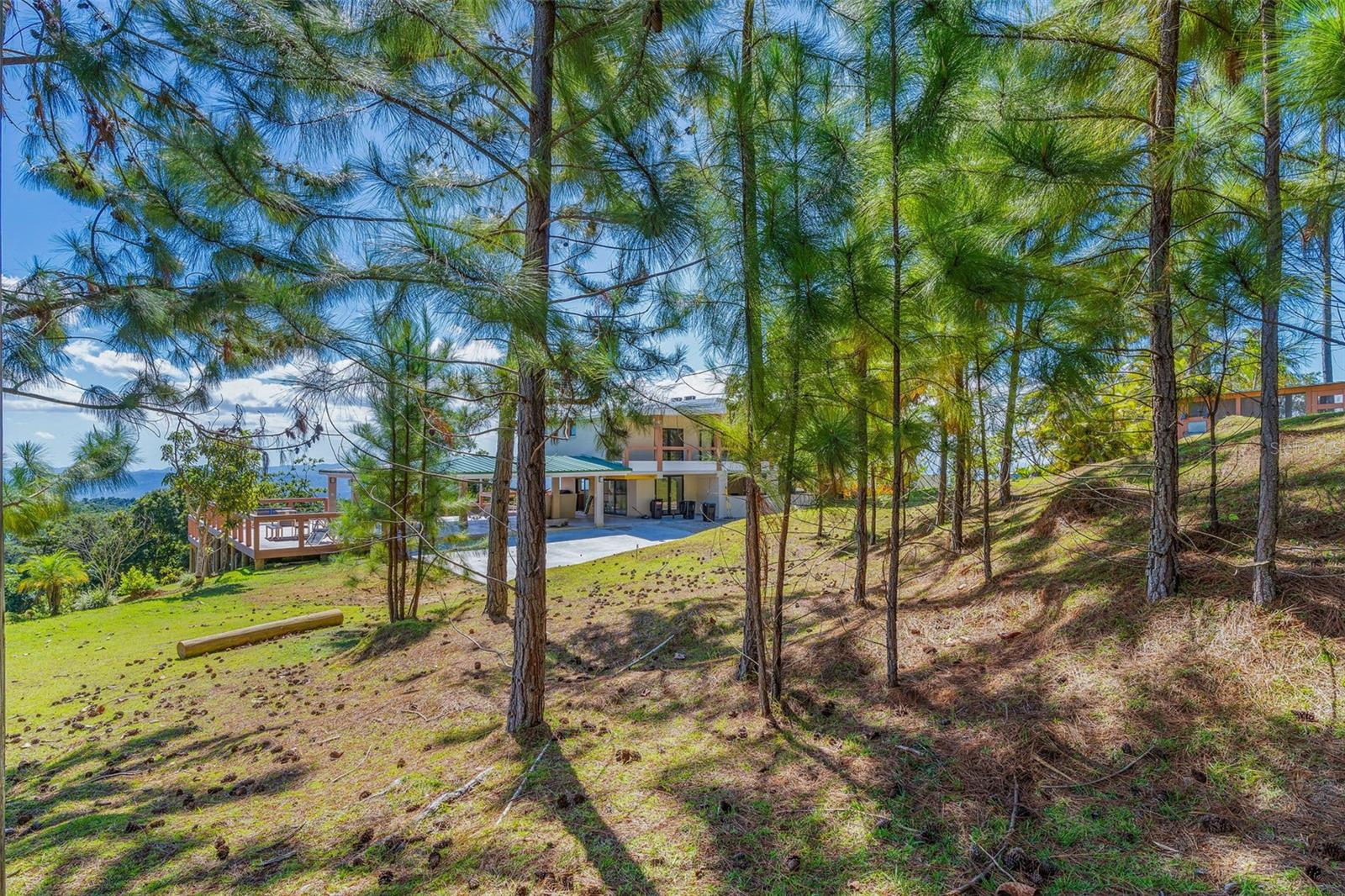 186 9.2 INT. AÑORANZAS DE CUBUY