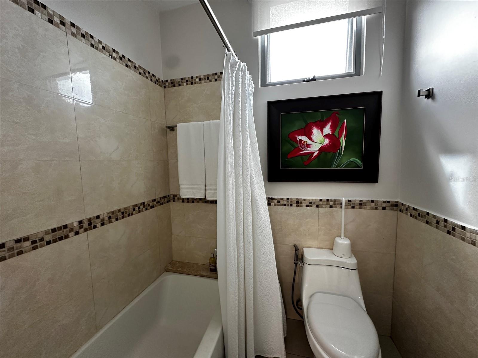 Senderos en Montehiedra AMBAR #86