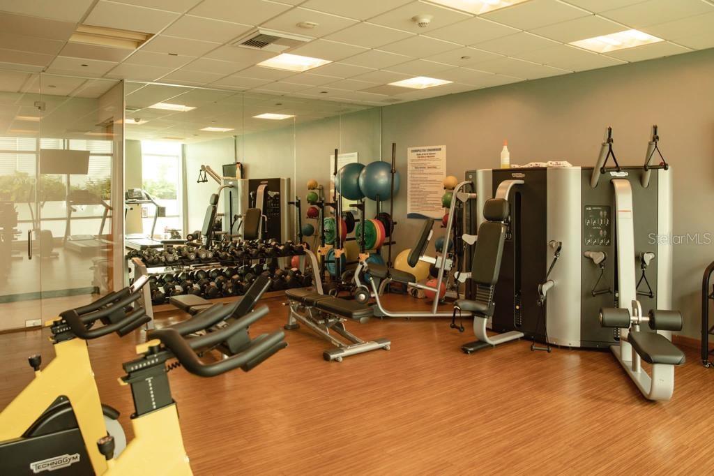 555 C. MONSERRATE #5