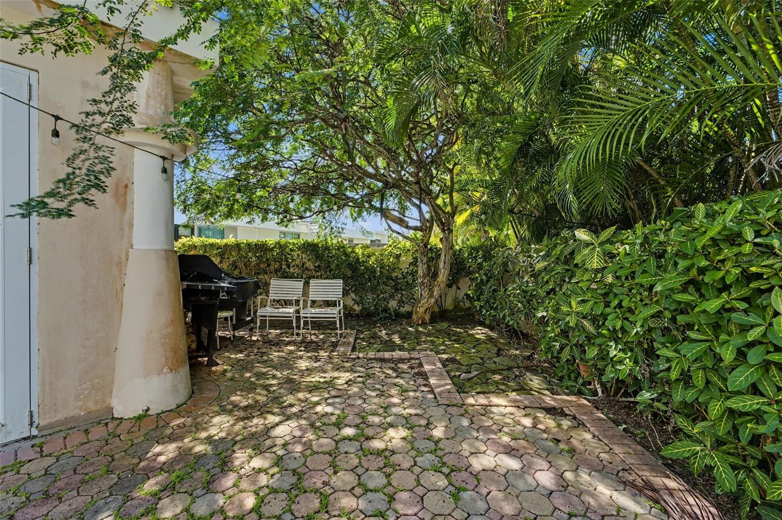 Calle Parque Tivoli CALLE PARQUE TIVOLI #21