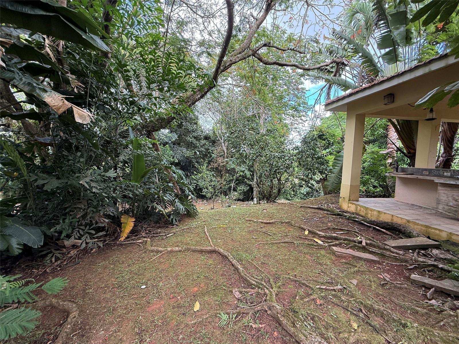 186 CAMINO DEL MONTE