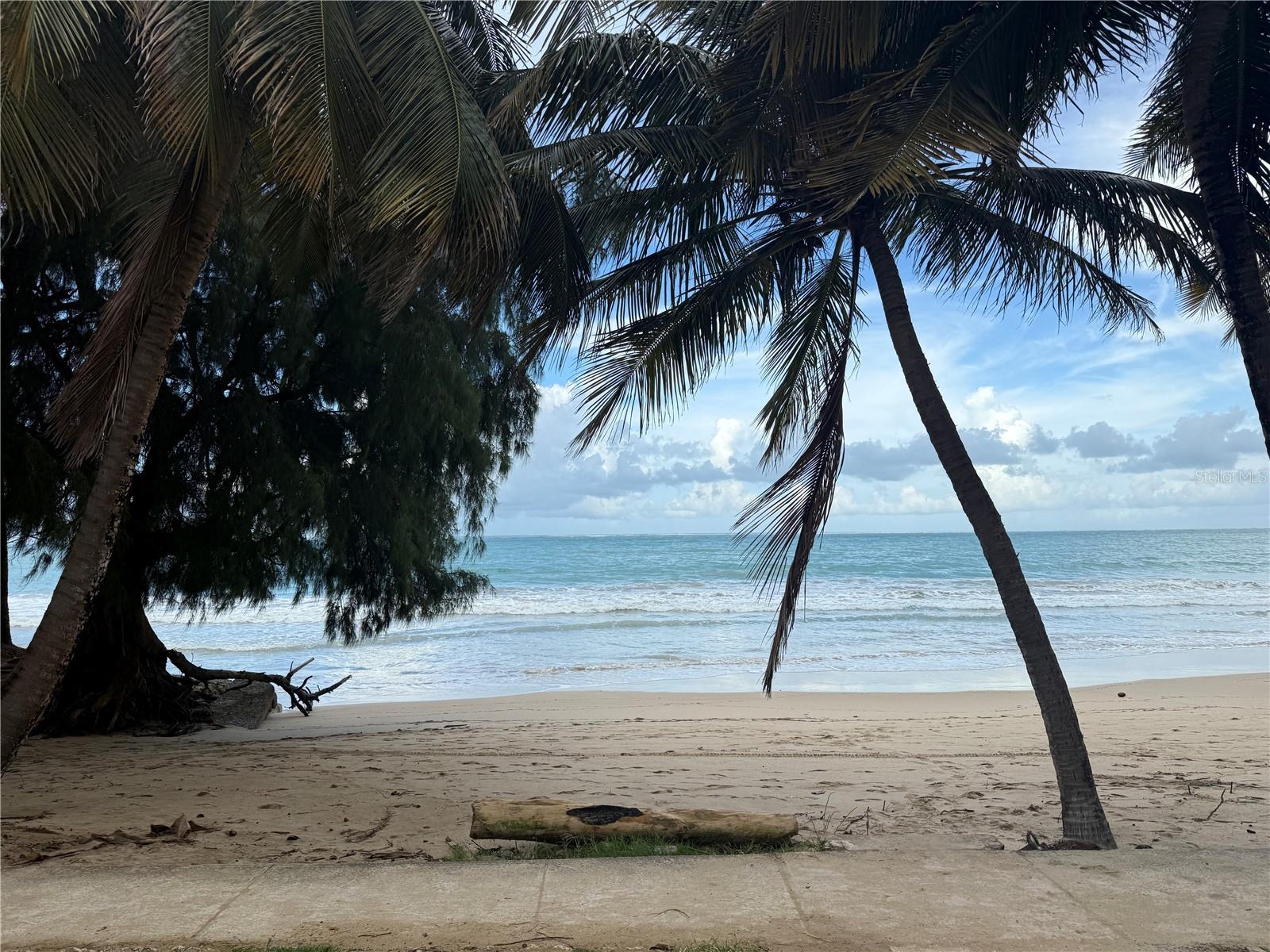 4123 ISLA VERDE AVE #201