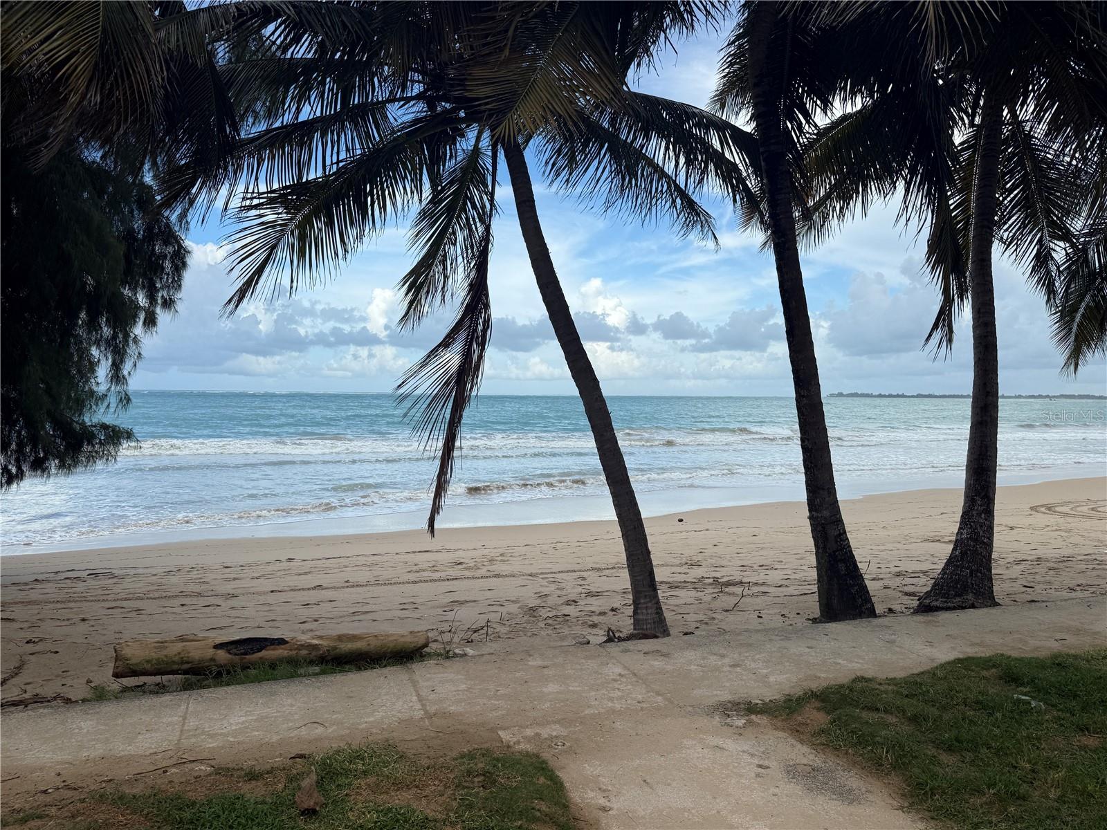4123 ISLA VERDE AVE #201