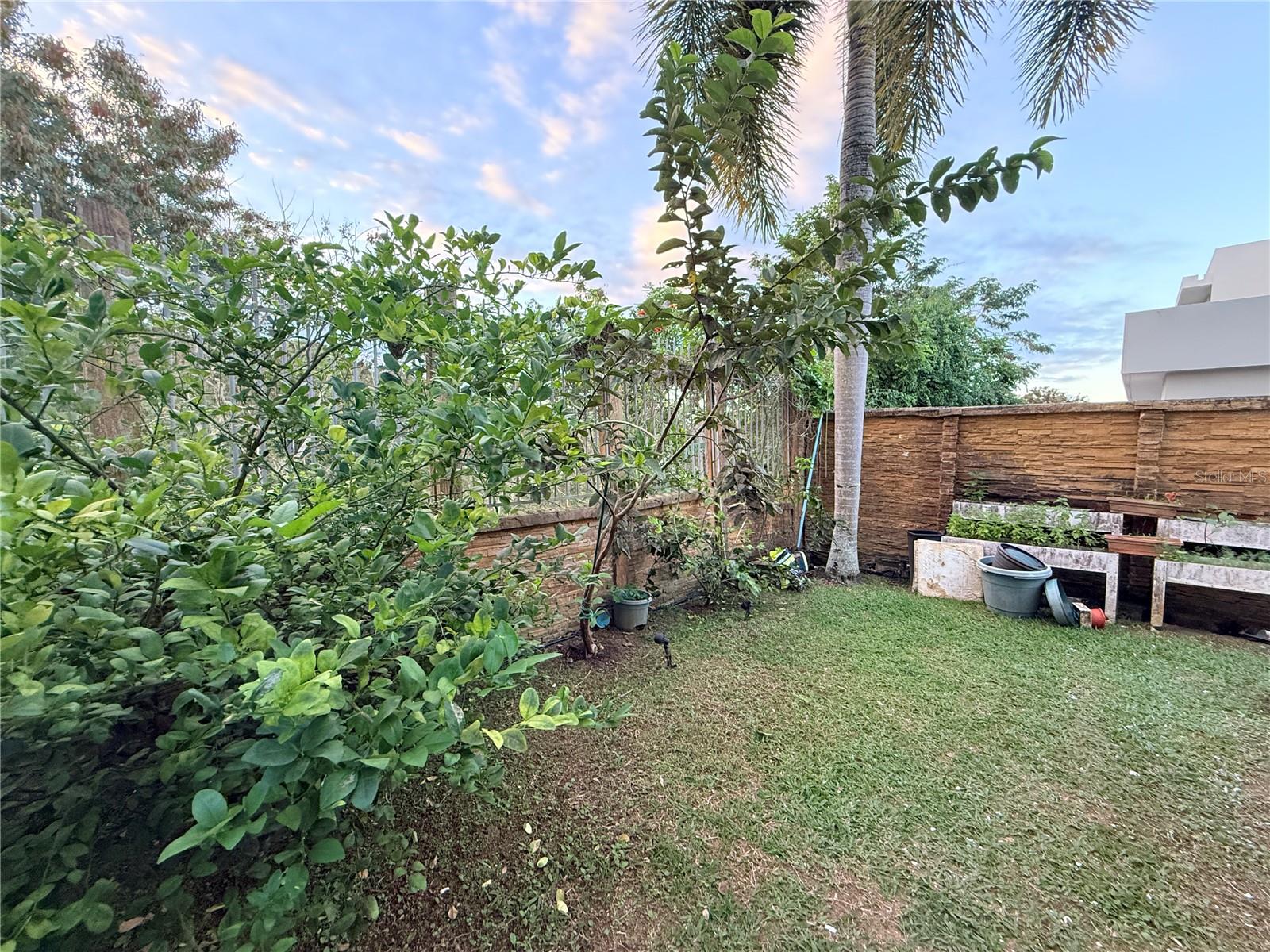 Senderos en Montehiedra COBALTO #12