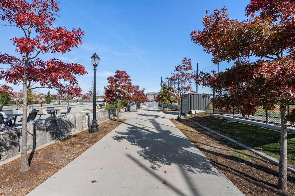 16 Foster Street # 9