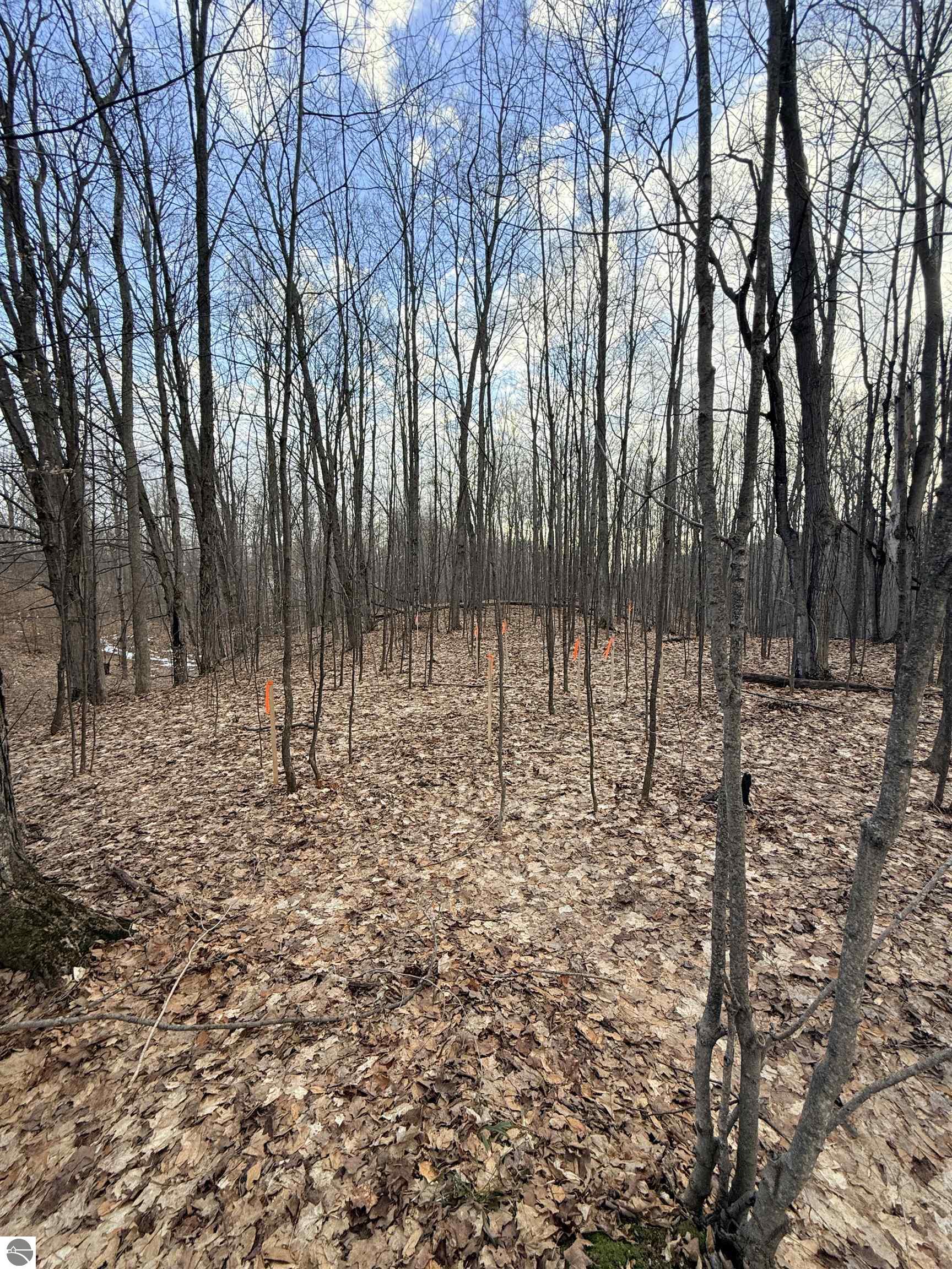 1208 S Ridge Court
