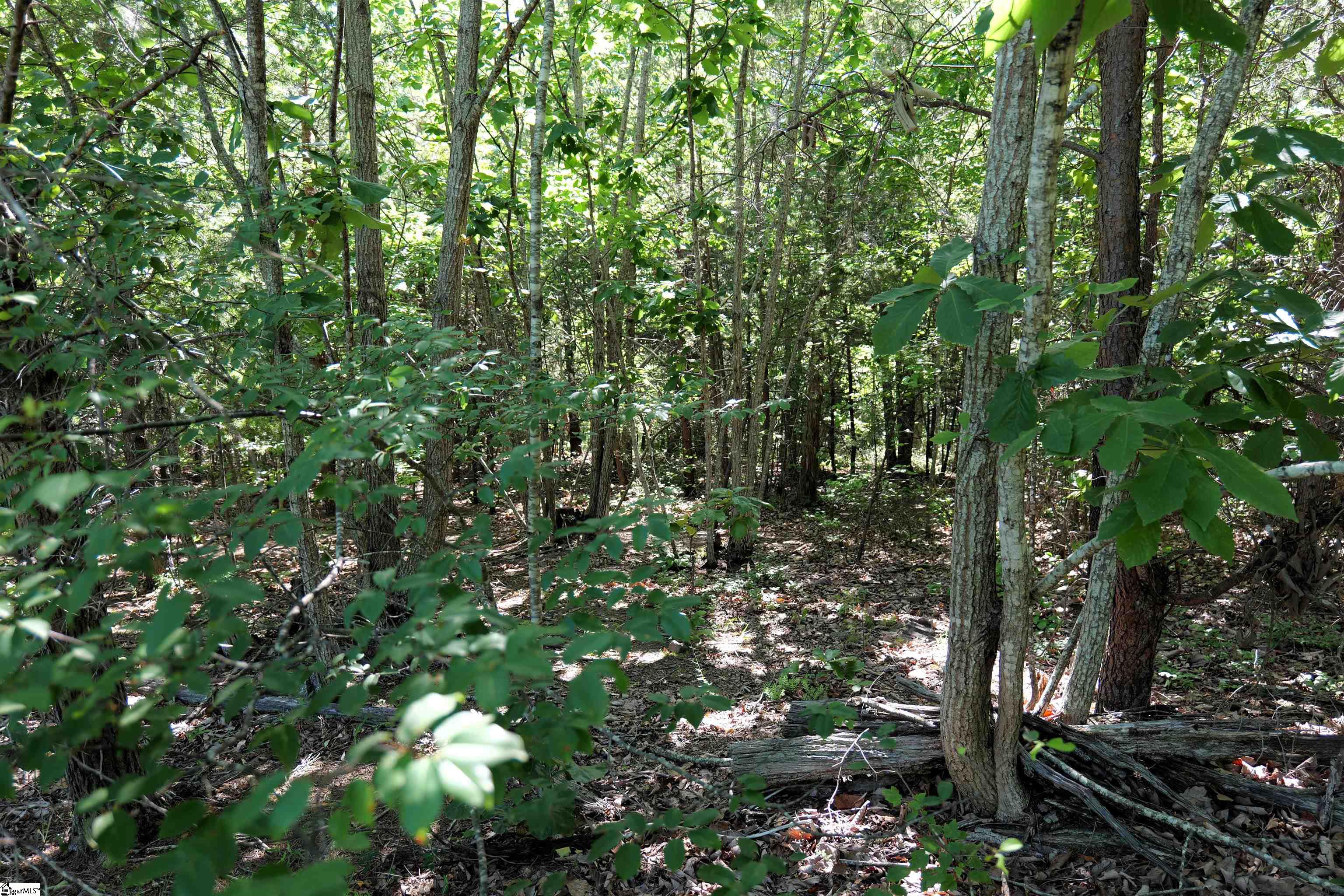 308 Furnace Road