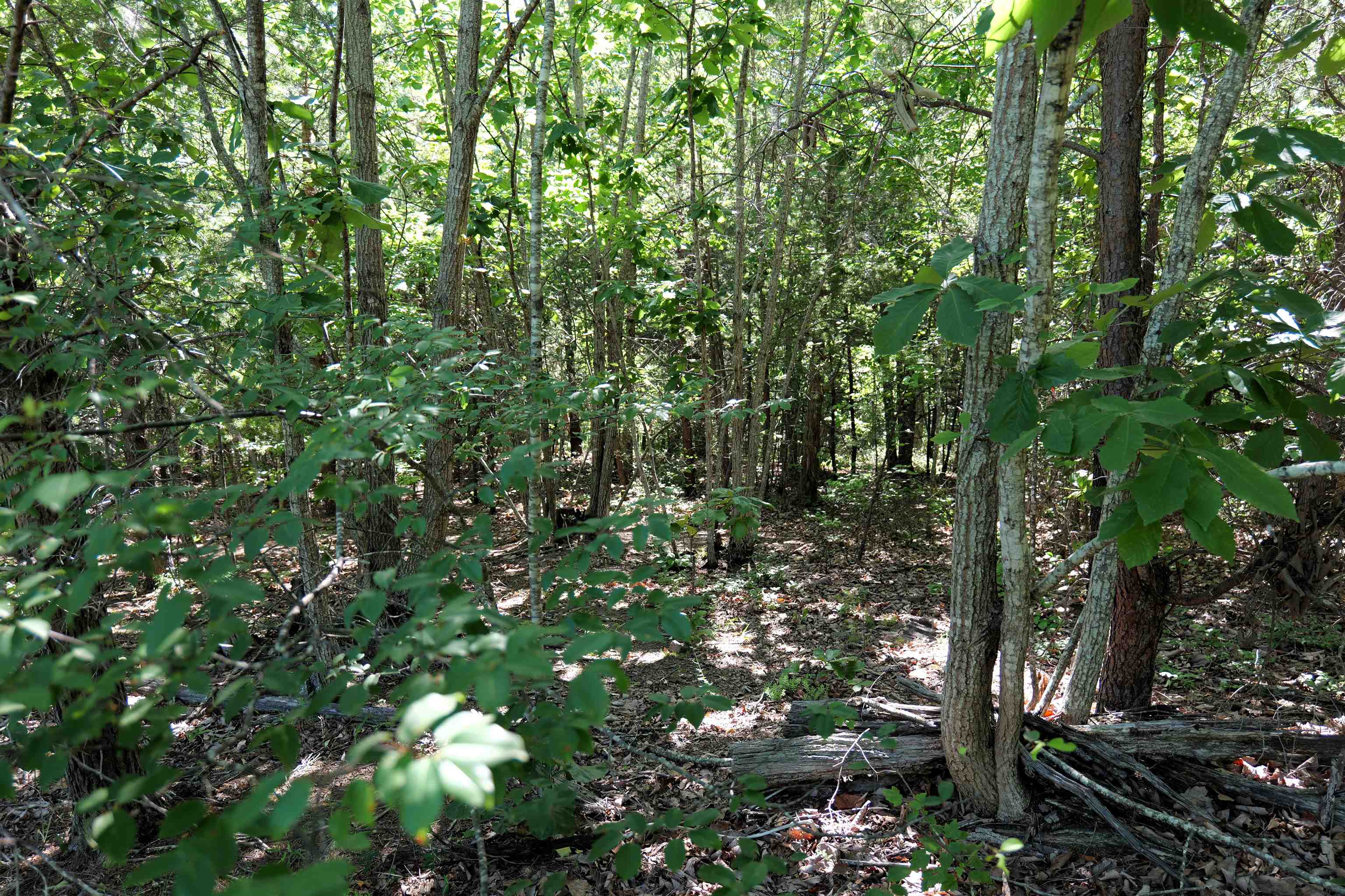 308 Furnace Road