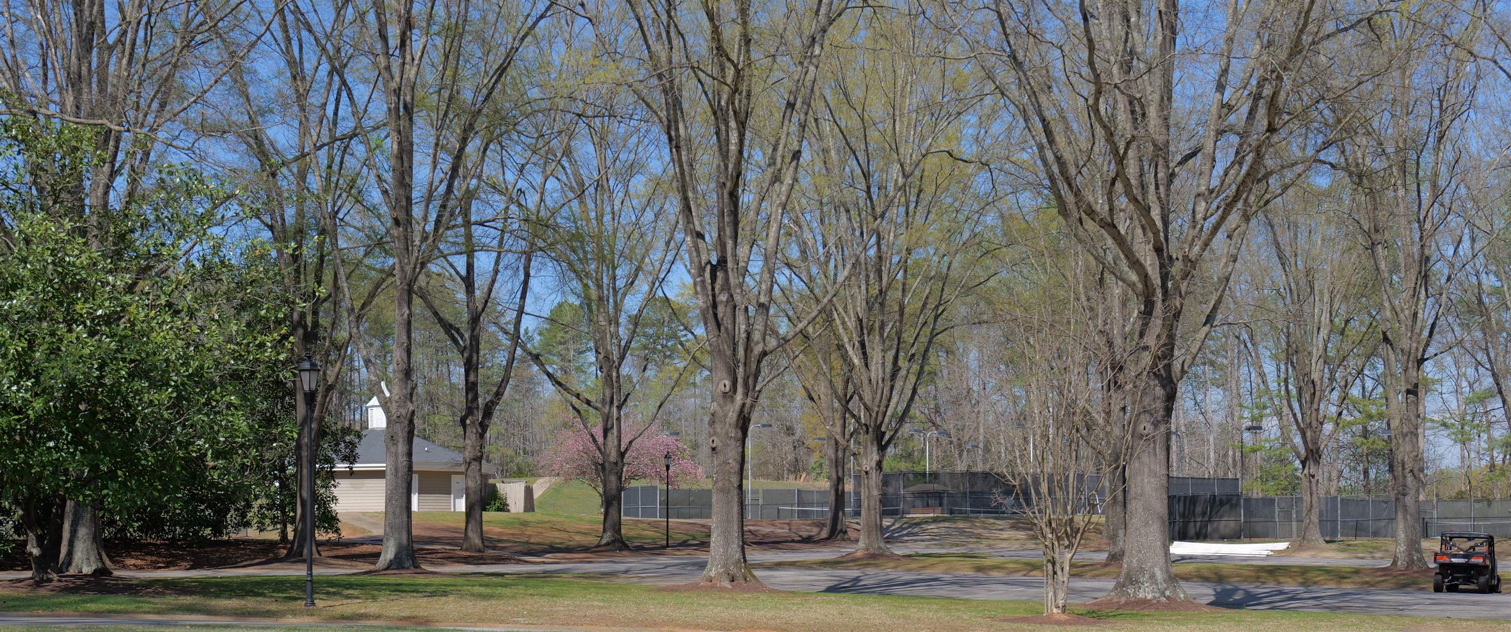 106 Carolina Club Drive