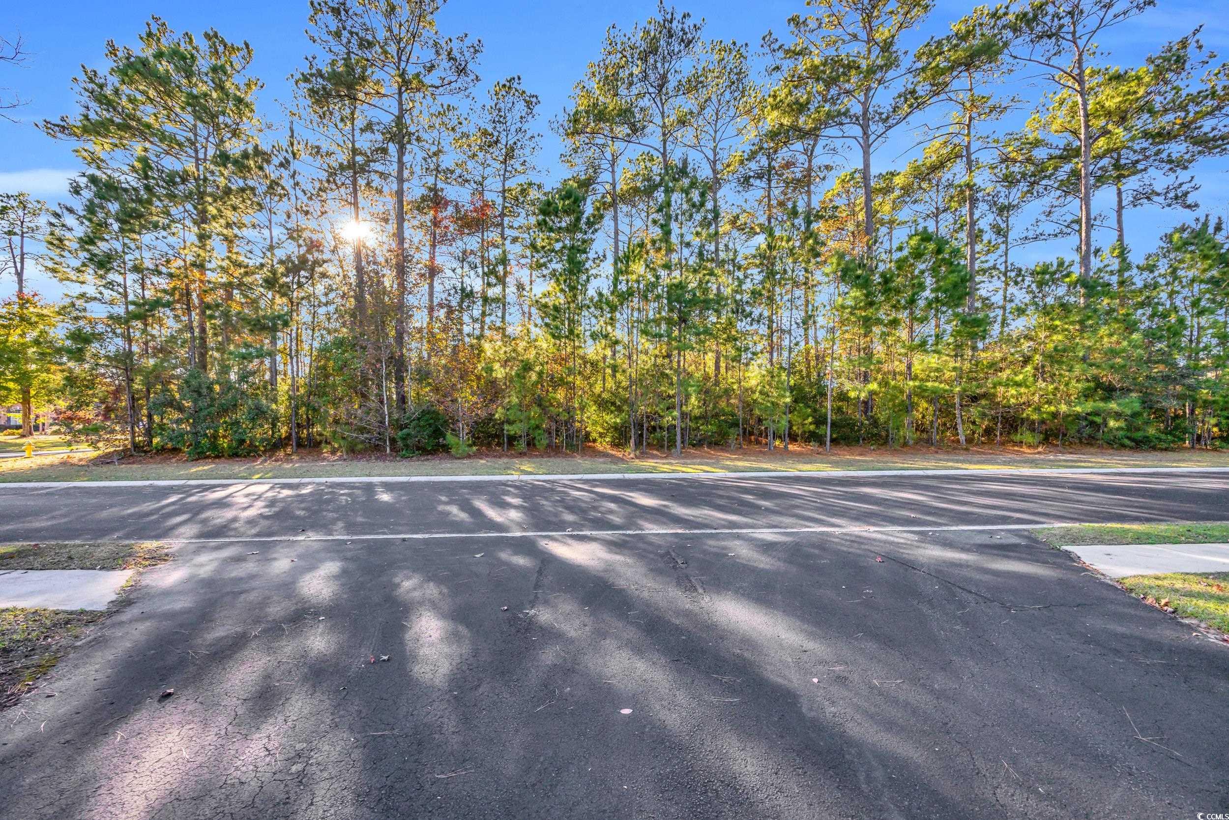 538 Nautilus Dr.