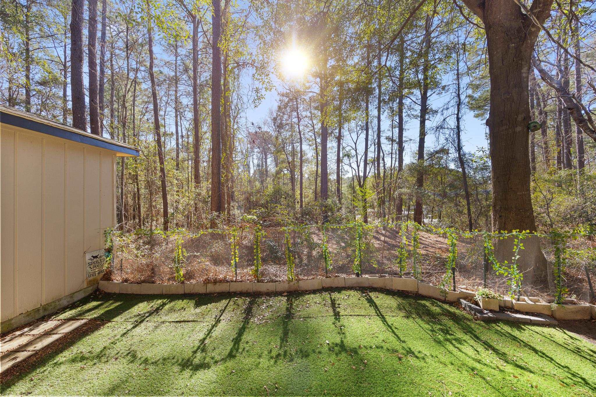 2278 Steritt Swamp rd.